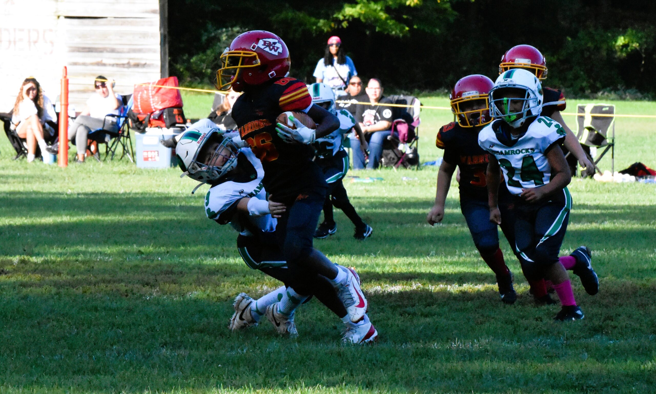 DSC_0163 DSC_0163