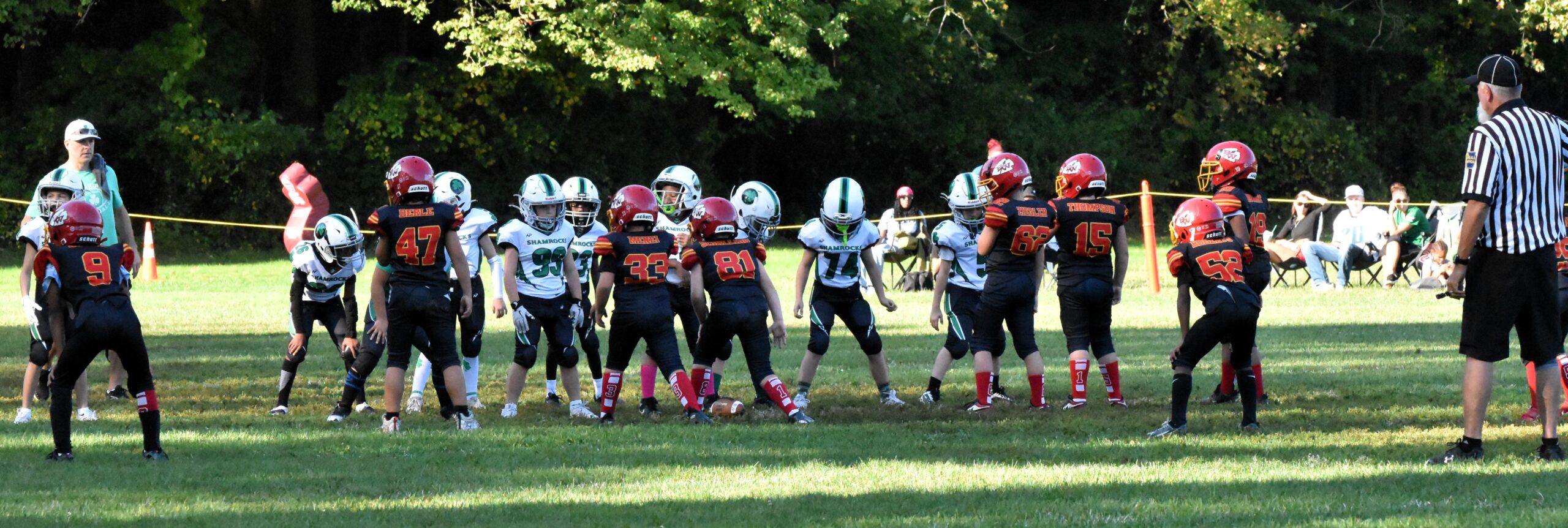 DSC_0167 DSC_0167