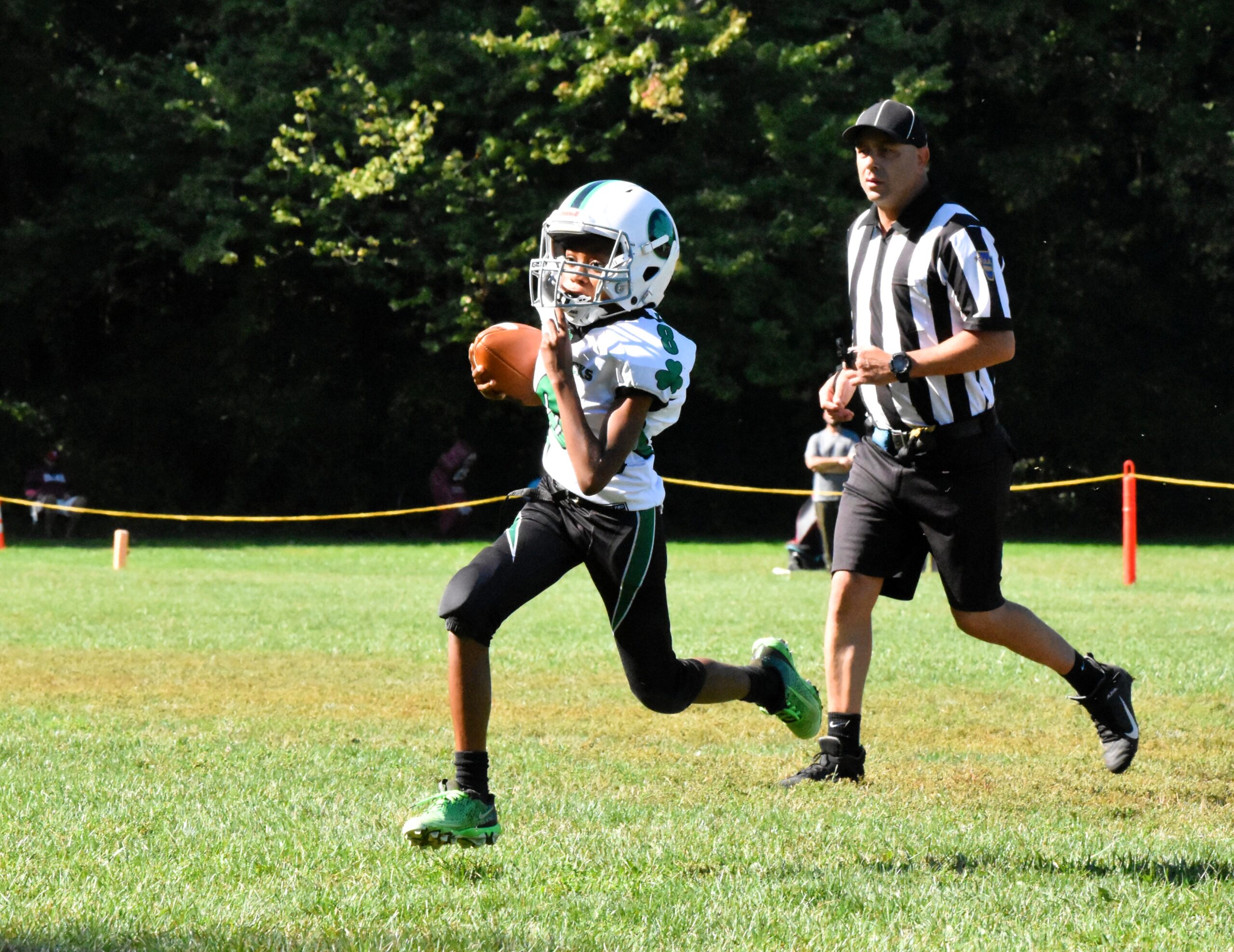 DSC_0238 DSC_0238